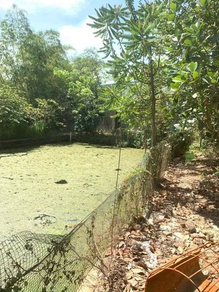 Cho Thuê Nhà Vườn rộng 1 sào , Sau Lưng Đại Học Công Nghệ,KP5A,Trảng Dài, Biên Hòa