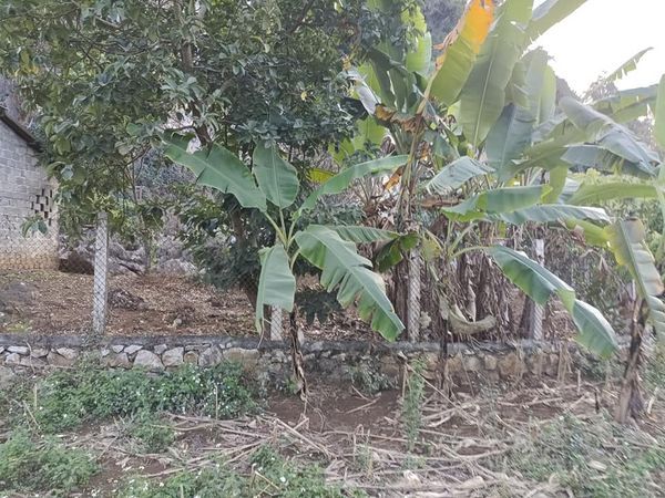 CHỦ CỦA EM CHẤP NHẬN CẮT LỖ SÂU Bán đất tại TK -18-Thị Trấn Hát Lót- Mai Sơn-Sơn La