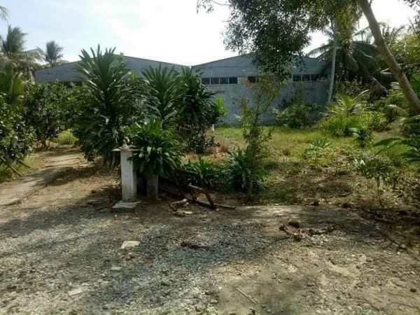 Cần bán 5 công 7 vườn khách đang thuê HD còn 2 tháng cặp QL53 thuộc Bến Có Nguyệt Hóa Châu Thành
