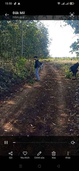bán vườn càfe giá rẻ dành cho Anh Chị Em nhà đầu tư tại Đăk Gằn, Đăk Mil Đăk Nông