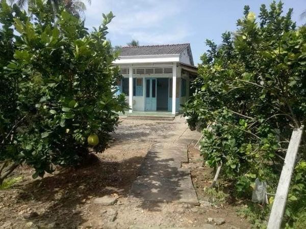 Cần bán 5 công 7 vườn khách đang thuê HD còn 2 tháng cặp QL53 thuộc Bến Có Nguyệt Hóa Châu Thành