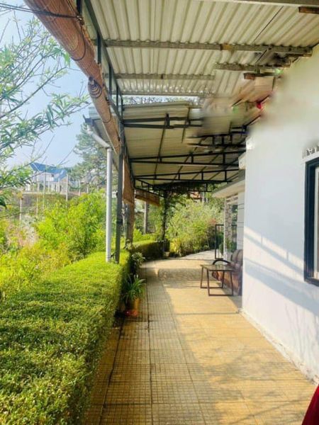 Cho thuê nhà sân vườn Khe Sanh Phường 10 Đà Lạt view đẹp. Diện tích 500m2 ,3 phòng ngủ. Giá 10tr