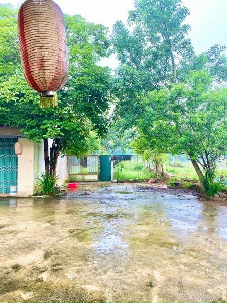 Mảnh đất đầu tư sinh lời làm ngôi nhà thứ 2 đã đầy đủ cảnh quan nhà cửa phòng hát sân vườn Đà Bắc