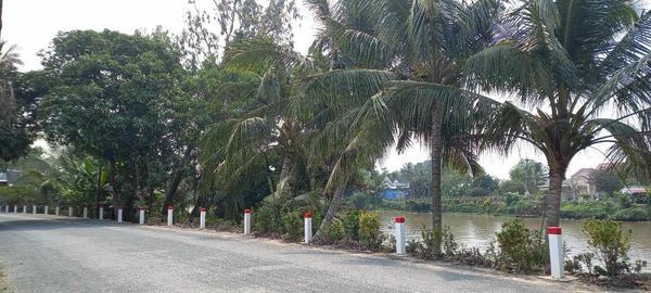 Cần bán gấp nền đẹp lộ nhựa gần chợ, trường học kênh RG-LX, định thành, thoại sơn,An Giang