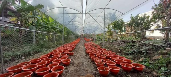 Cần bán gấp nền đẹp lộ nhựa gần chợ, trường học kênh RG-LX, định thành, thoại sơn,An Giang