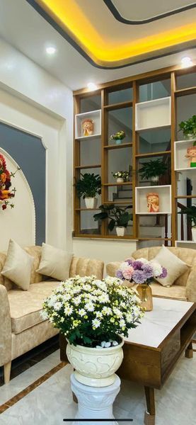 Nhà 3 Tầng ngõ Khu Ruộng Rau Muống sau viện Đa khoa Tỉnh Hải dương .
