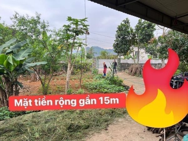 Tìm Đâu Ra 01 Lô Nhà Vườn Diện Tích Rộng Giá Rẻ Như Cho Tại Thạch Bình, Nho Quan