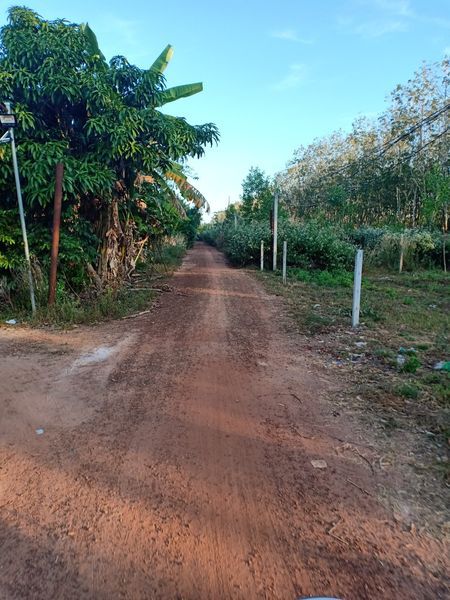 Chính Chủ Bán Đất Vườn Sinh Thái Nghỉ Dưỡng Hồ Dầu Tiếng BD,2400M2 Giá 3 Tỷ