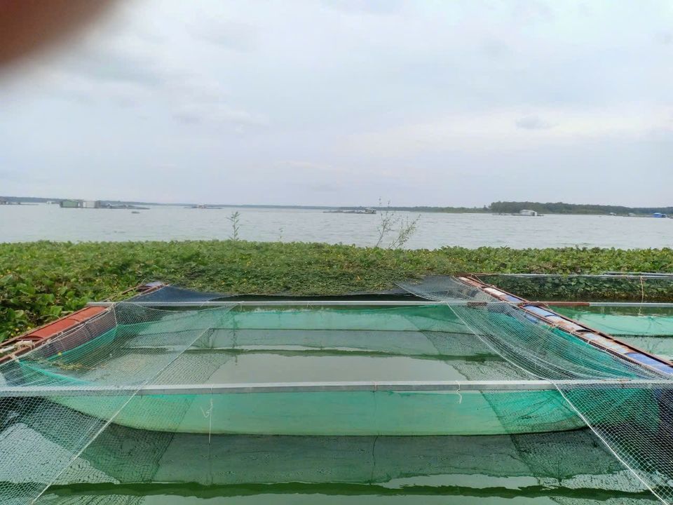Chính Chủ Bán Đất Vườn Sinh Thái Nghỉ Dưỡng Hồ Dầu Tiếng BD,2400M2 Giá 3 Tỷ