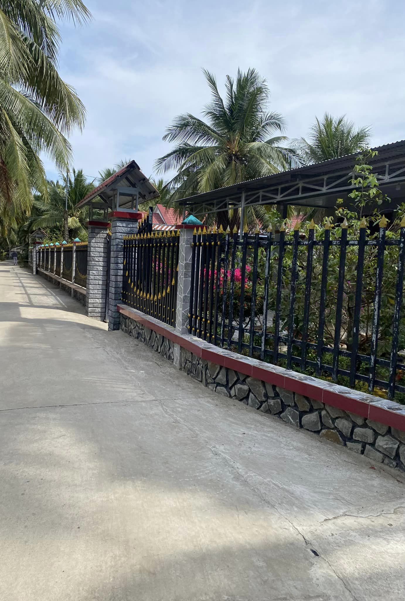 Chính chủ bán 5 công 7 dừa đang thu mạnh Tân Phong Thạnh Phú Bến Tre