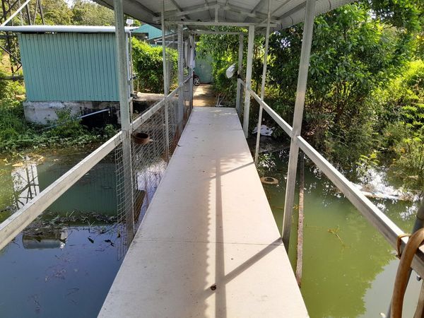 Chính Chủ Bán Đất Vườn Sinh Thái Nghỉ Dưỡng Hồ Dầu Tiếng BD,2400M2 Giá 3 Tỷ