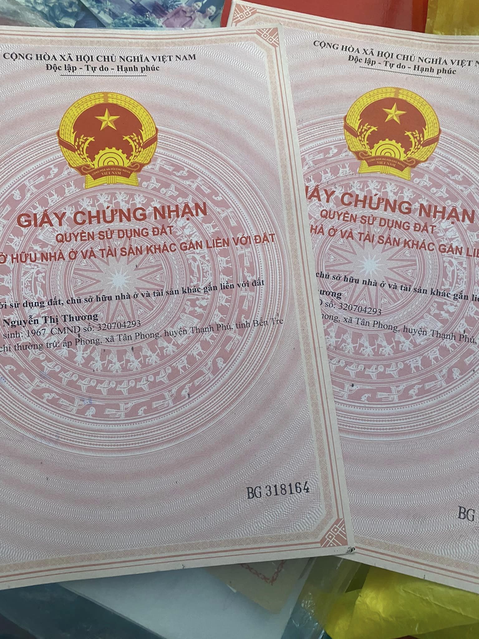Chính chủ bán 5 công 7 dừa đang thu mạnh Tân Phong Thạnh Phú Bến Tre