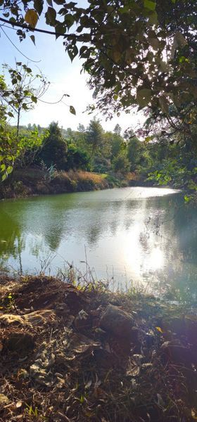 CHÍNH CHỦ GỬI BÁN MẢNH 4.7HA ĐẤT TRỒNG CÀ PHÊ VÀ SẦU RIÊNG CHO 𝐍𝐆𝐔𝐎̂̀𝐍 𝐓𝐇𝐔 HƠN 1𝐓Ỷ/N𝐀̆M