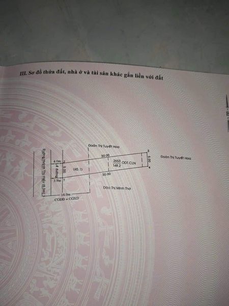 Hạ giá Bán gấp lấy tiền tiêu Tết. Mặt tiền Huỳnh Thị Hiếu. Thủ Dầu Một Bình Dương.