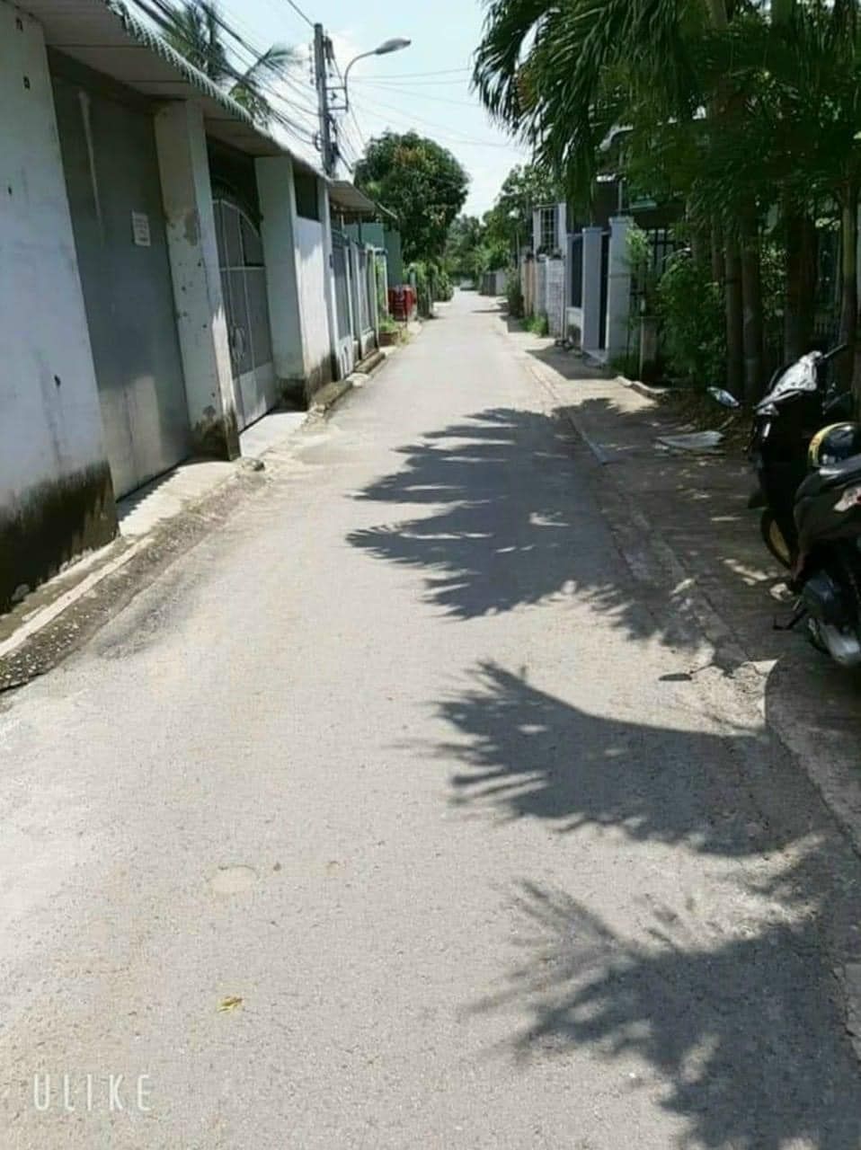 Cho thuê nhà nguyên căn 1 SẸC BÙI QUỐC KHÁNH gần mì bà hơ CHÁNH NGHĨA , THỦ DẦU MỘT , BÌNH DƯƠNG