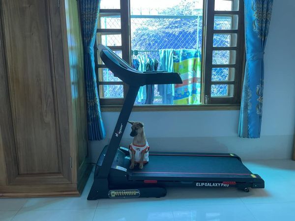Do chuyển nơi ở nên cần sang lại cho ai có nhu cầu ngôi nhà tại ấp Phước Hoà, xã Mong Thọ B