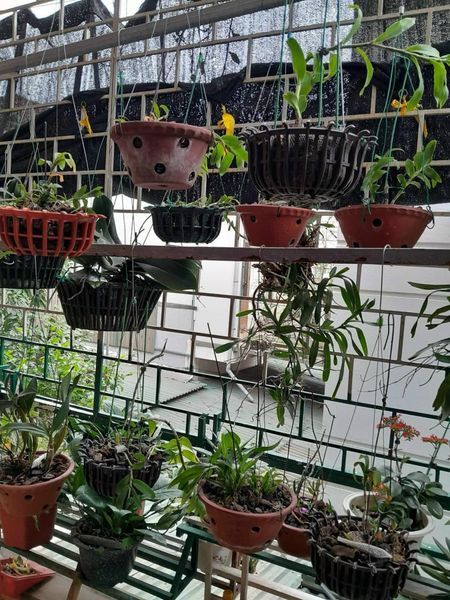 Cần bán nhà 3 tầng ngõ Điện Biên Phủ Thành Phố Hải Dương