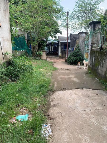 Cho thuê nhà nguyên căn. Nhà Sát công an phường Tân bình. Cách đường hùng vương 100m