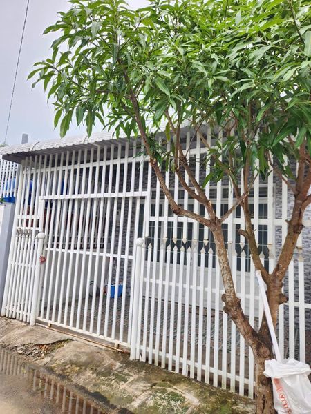 BÁN NHÀ Hẻm 81 Trương Định, P. An Bình, Tp Rạch Giá, Kiên Giang