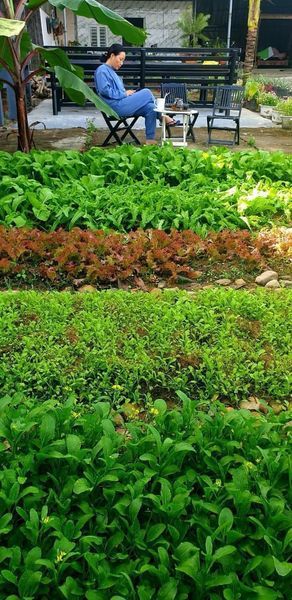 Mình chính chủ. Cần tiền trả nợ.bán rẻ nhà Dt 1160m2. Mặt tiền 16m. Đất vuông vức .Giá 3,5 tỷ