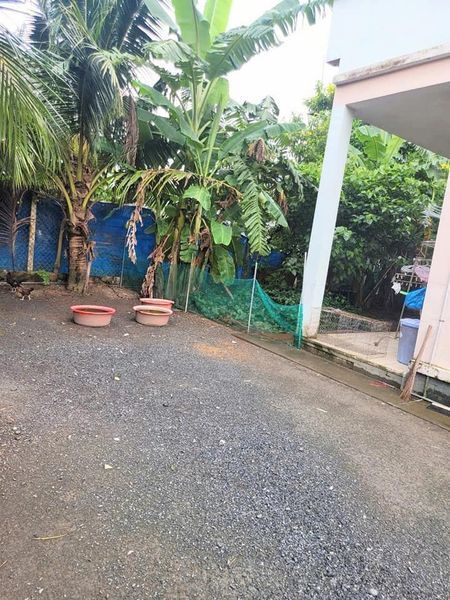 Nhà Vườn 800m Bình Lợi Vĩnh Cửu Diện tích 800m 21x37 Sổ Riêng có 150 Thổ Cư