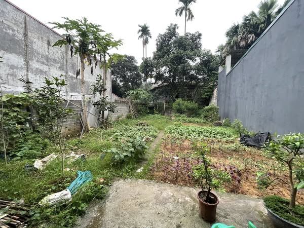 Bán đất Tổ 13 phường Yên Ninh khu vực trung tâm không ngập lụt, cách đường Lê Lợi 10m