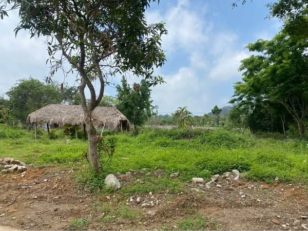 BÁN ĐẤT NGHỈ DƯỠNG FULL THỔ CƯ – YÊN BÀI, BA VÌ – 425M² ( CÓ THỂ CHIA LÀM 2 LÔ)