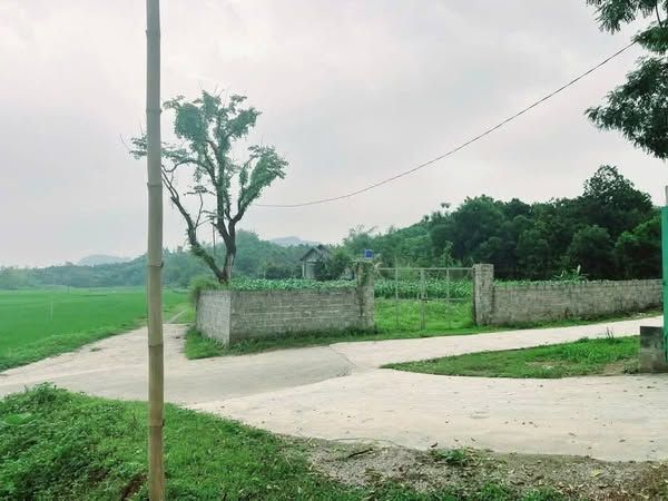 Chính chủ em cần bán mảnh đất siêu đẹp tại Lương Sơn Hoà Bình