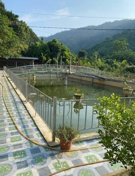 Bán Trang trại nghỉ dưỡng Vị trí: thôn đồng bằng .xã lương thịnh. Trấn yên. Yên bái