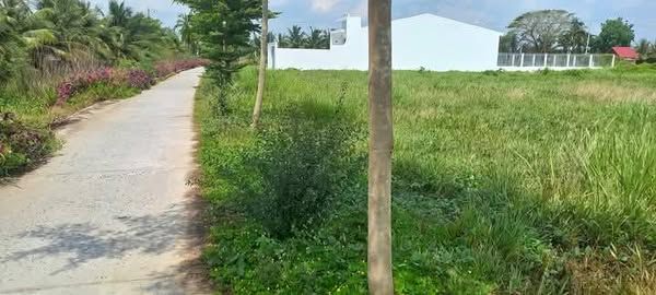 BÁN GẤP ĐẤT NỀN, CÒN HƠN 10 NỀN LIỀN KỀ THUỘC XÃ LONG PHƯỚC, LONG HỒ, VĨNH LONG.