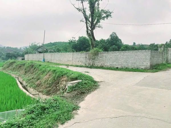 Chính chủ em cần bán mảnh đất siêu đẹp tại Lương Sơn Hoà Bình
