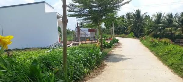 BÁN GẤP ĐẤT NỀN, CÒN HƠN 10 NỀN LIỀN KỀ THUỘC XÃ LONG PHƯỚC, LONG HỒ, VĨNH LONG.