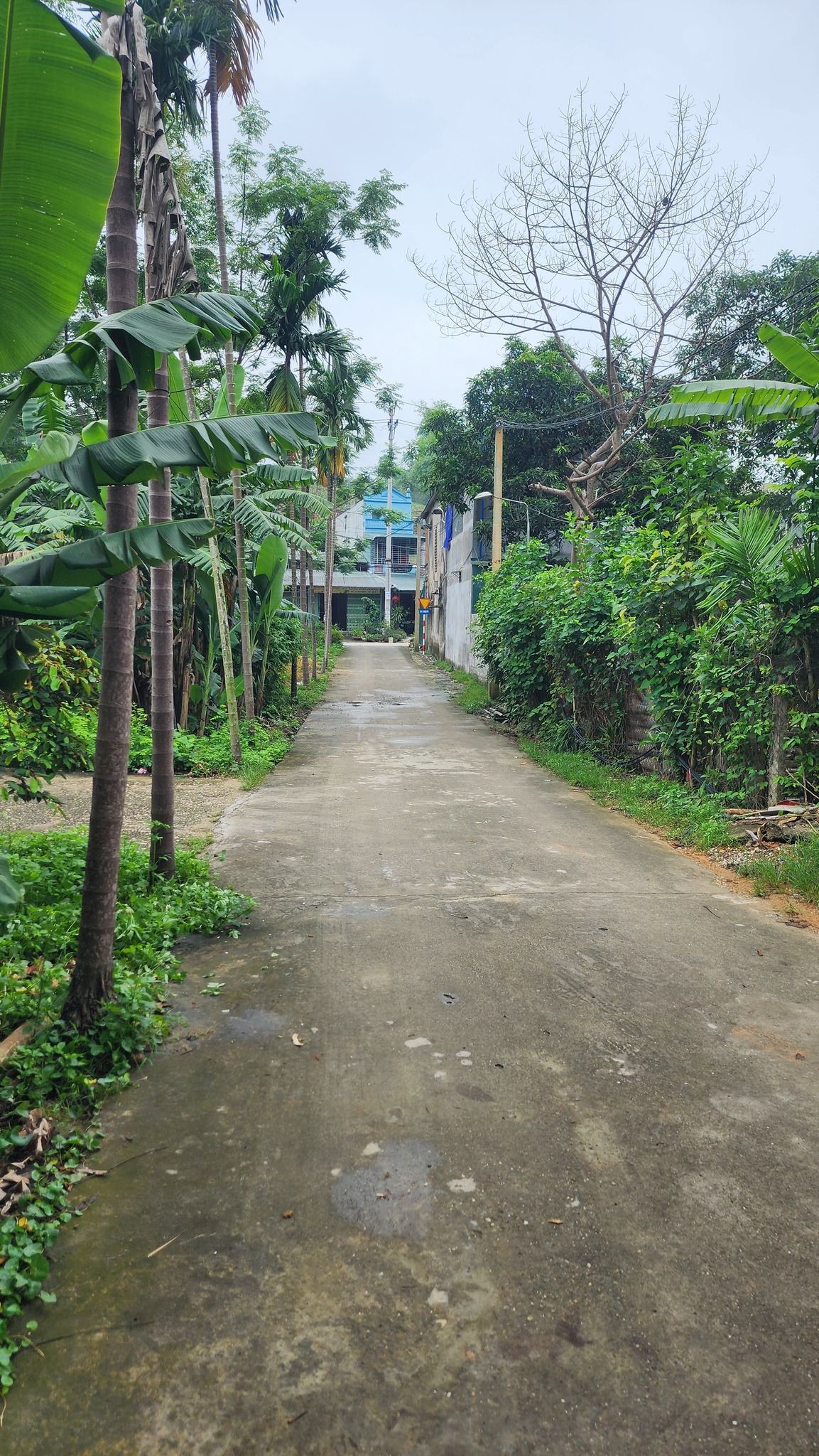 Cho thuê Nhà nguyên căn rộng, thoáng đầu ngõ 75 Đường Kim Bình, Tràng Đà, Tuyên Quang