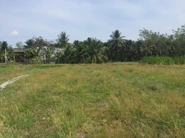 Cần bán lô đất Đường thông nhiều ngã, gần khu tái định cư cầu rạch miễu 2 Châu Thành