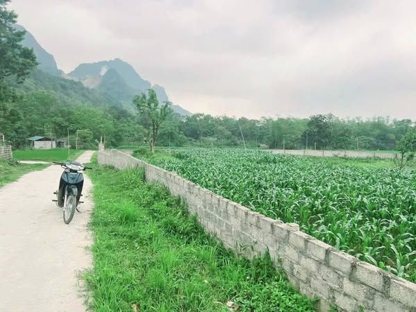 Chính chủ em cần bán mảnh đất siêu đẹp tại Lương Sơn Hoà Bình