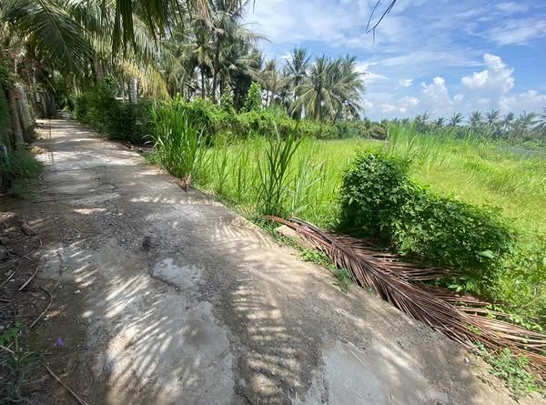 Cần Bán 2 Nền Đất Liền Kề Mặt Tiền Đường Hẻm Xe Hơi Kế Bên Đường Một Quang Thuộc