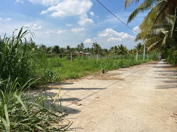 Cần bán Đất Long hoà A đạo Thạnh cách quãng trưởng chỉ vài trăm m , Đường lò Bánh Thanh Tuyền vào