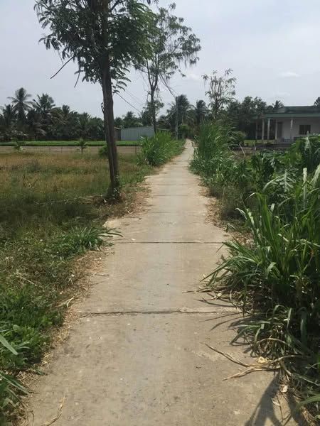 Cần bán lô đất Đường thông nhiều ngã, gần khu tái định cư cầu rạch miễu 2 Châu Thành