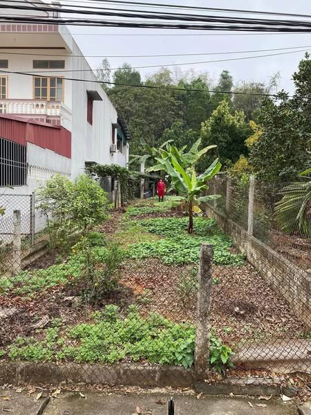 Cần bán mảnh đất tổ 09 Nông Tiến Tuyên Quang gần trường Nội trú