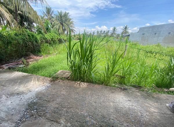 Cần Bán 2 Nền Đất Liền Kề Mặt Tiền Đường Hẻm Xe Hơi Kế Bên Đường Một Quang Thuộc