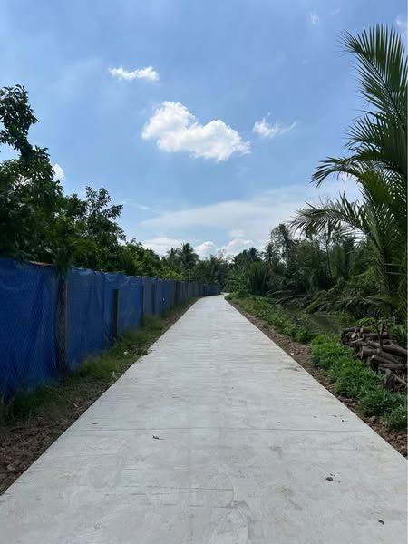 Cần bán Đất Long hoà A đạo Thạnh cách quãng trưởng chỉ vài trăm m , Đường lò Bánh Thanh Tuyền vào
