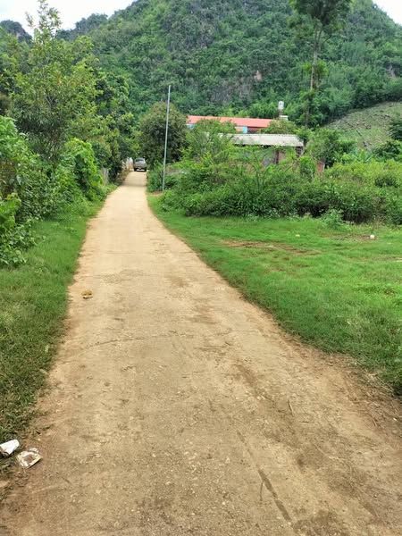 Cần bán mảnh đất rộng 5.000m2. có 850m thổ cư. Tại bản bó cón_phường chiềng an. Tpsl.lh 0987069889