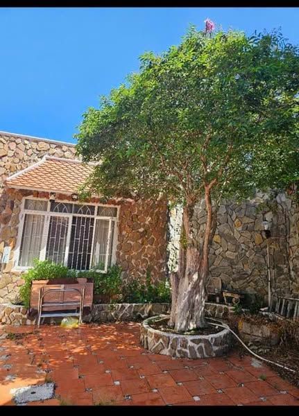 BÁN LÔ ĐẤT TẶNG NHÀ CẤP 4 - MẶT TIỀN ĐƯỜNG TÔ HIỆU, TP PHAN RANG