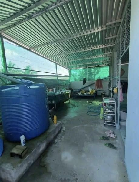 Cho thuê nhà tại địa chỉ: 38 Nhơn Thuận Nhơn Thạnh Trung thành phố Tân An.
