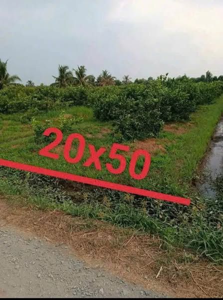 Đất vườn mặt tiền đường đá xanh thông tứ hướng cách đường tỉnh lộ 816 chỉ 400m