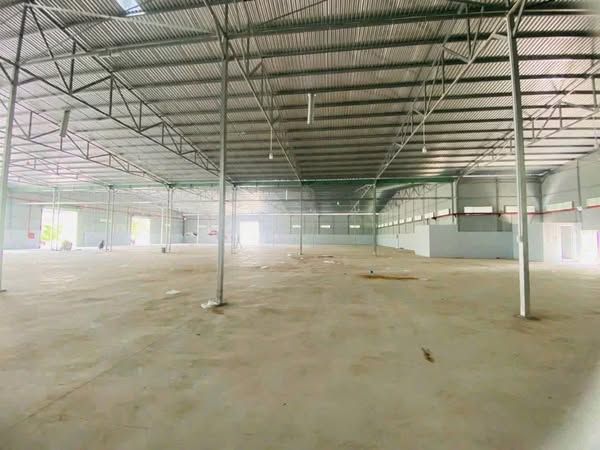 Cho thuê kho xưởng Logistics đa dạng diện tích từ 700m² đến 4.000m² Cái Răng, TP. Cần Thơ.