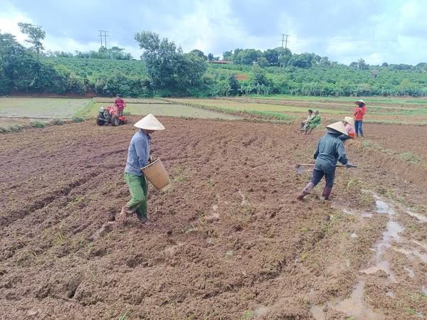 Hơn 1400m2 (1 sào 4) đất phường Chi Lăng ô tô vào tận vườn giá rẻ chỉ 5xx triệu.