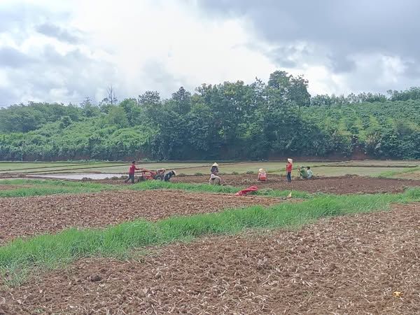 Hơn 1400m2 (1 sào 4) đất phường Chi Lăng ô tô vào tận vườn giá rẻ chỉ 5xx triệu.