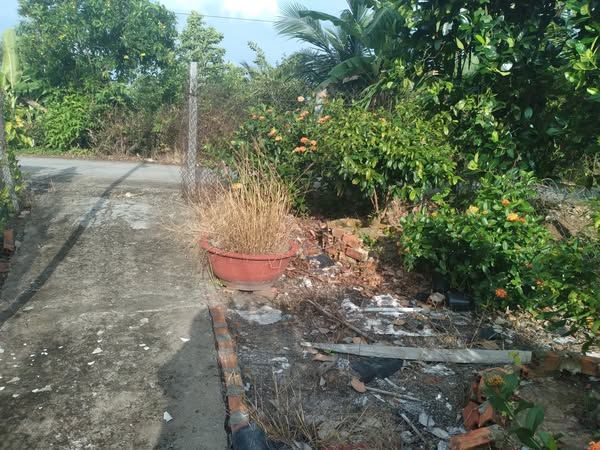 Cần bán đất ngang 5m dài 61m thổ Cư 80 m Tân thành, Hòa thành, Lai vung đồng tháp