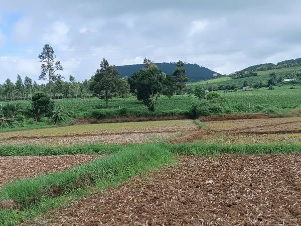 Hơn 1400m2 (1 sào 4) đất phường Chi Lăng ô tô vào tận vườn giá rẻ chỉ 5xx triệu.